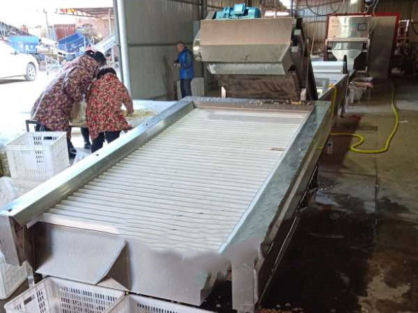 蒜米檫干機(jī)供應(yīng)